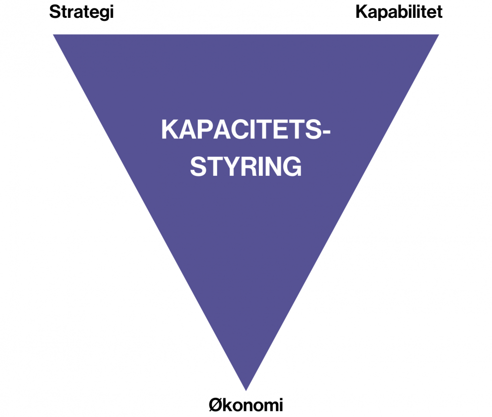 Kapacitetsstyring, ressourcestyring og resourceability